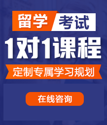 操屄视频免费网址留学考试一对一精品课